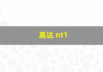 高达 nt1